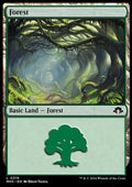 Forest (V.3)